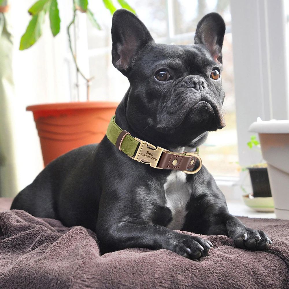 Free Custom PU Leather Dog Collar Engraved Dog Collars Adjustable Pet Buckle ID Necklace Durable for Small Medium Large Dogs Pug - Image 3